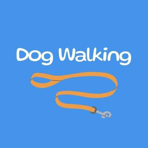 Dog Walkers Near Me | Reliable Daily Dog Walking Services