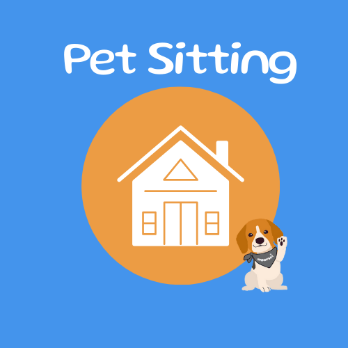 Night Home Visits and Overnight Pet sitters near me
