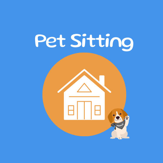 Pet Sitters Near Me | Night Home Visits & Overnight Pet Care