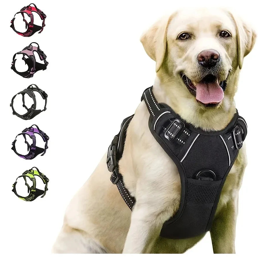Leather Dog Harness & Leash Set