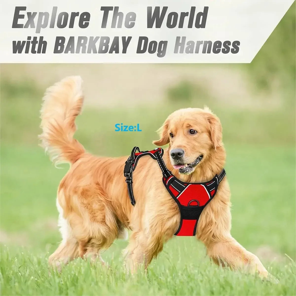 Leather Dog Harness & Leash Set