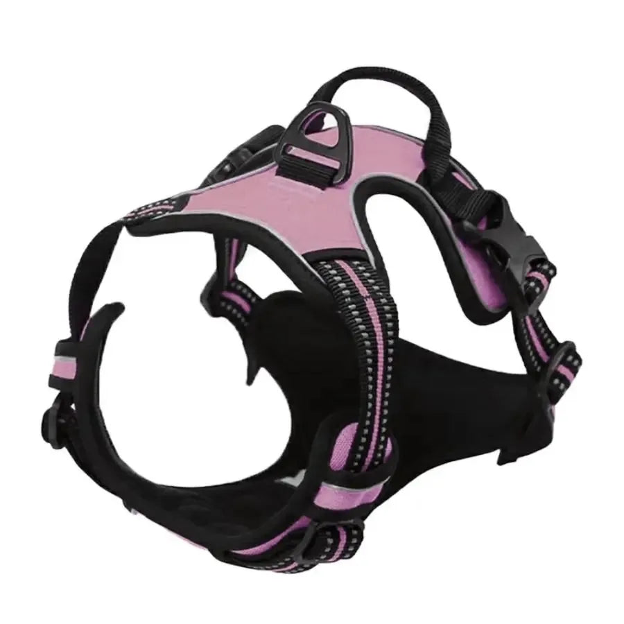 Leather Dog Harness & Leash Set