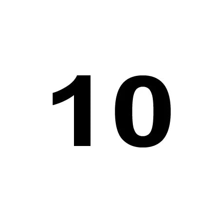 Plush Squeaky Dog Toys