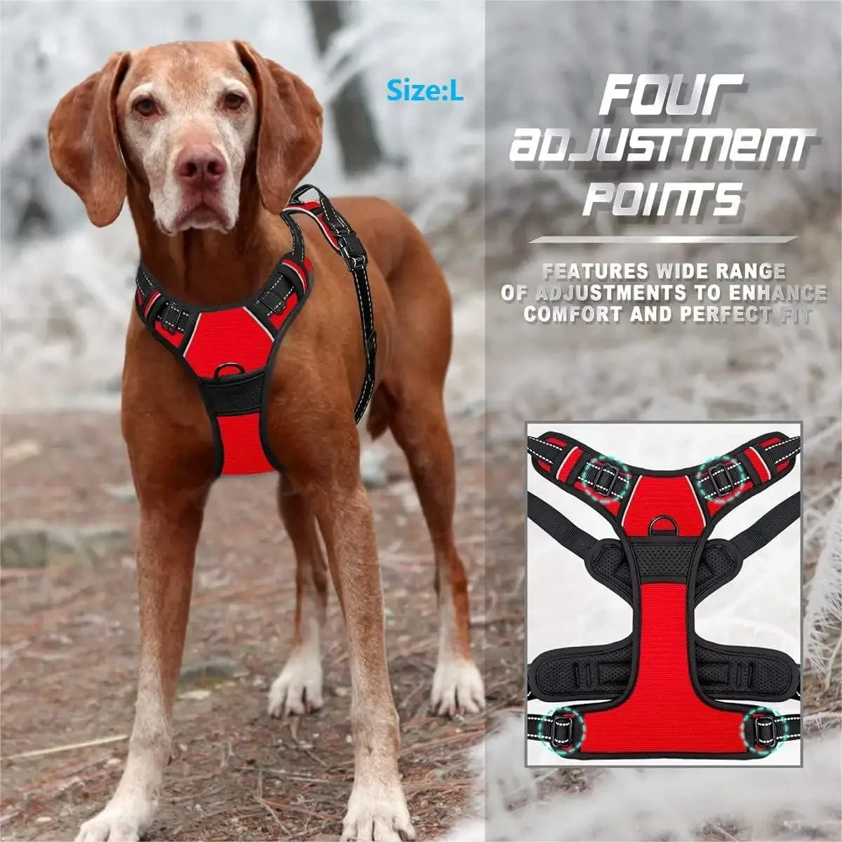 Leather Dog Harness & Leash Set