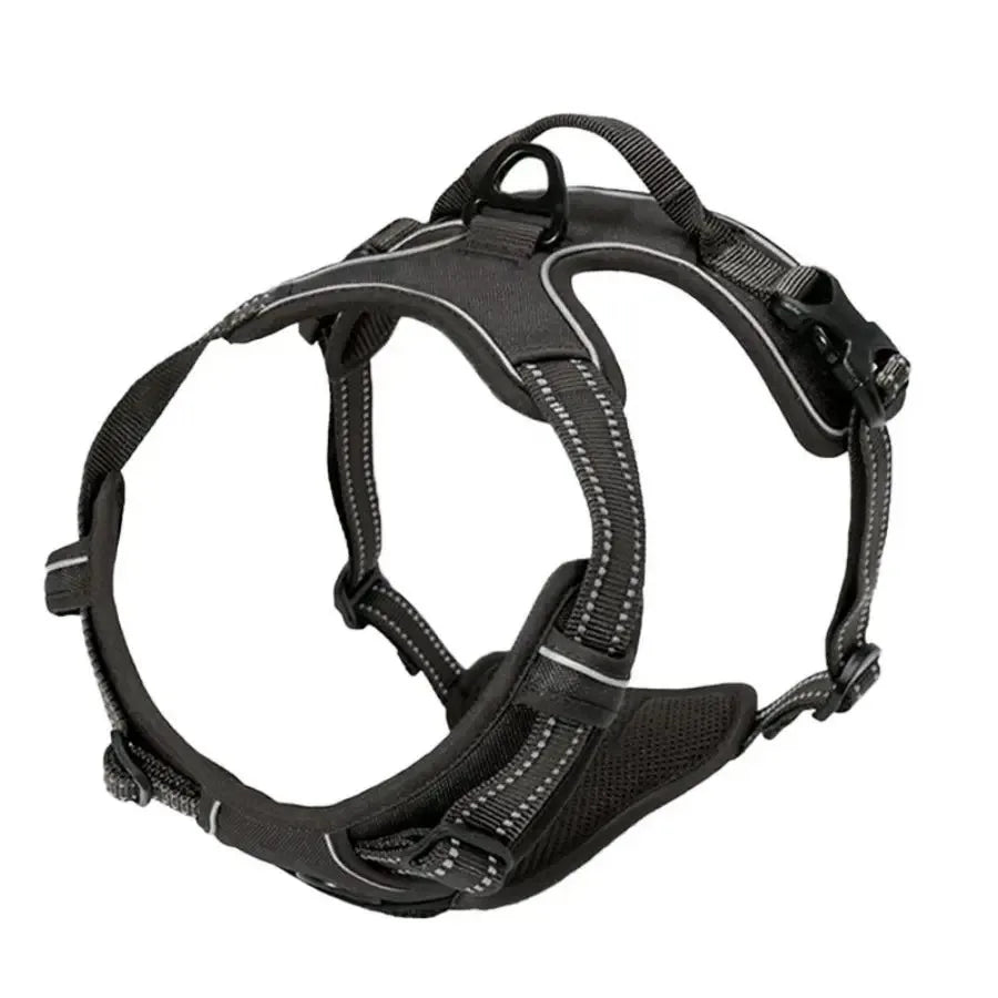 Leather Dog Harness & Leash Set