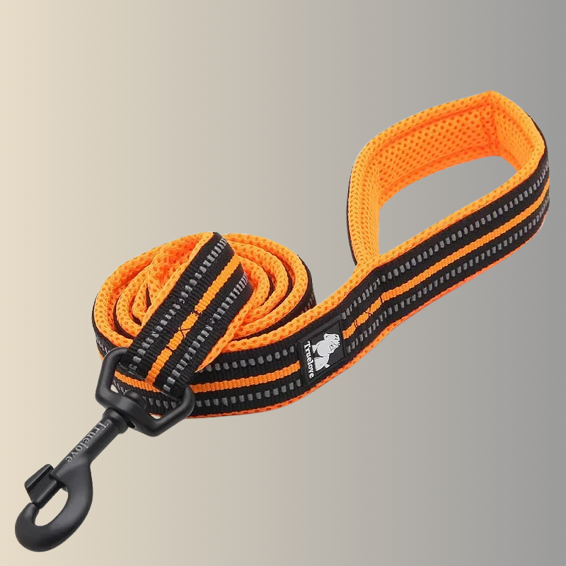 Soft Pet Leash – Reflective Nylon Mesh Padded Leash