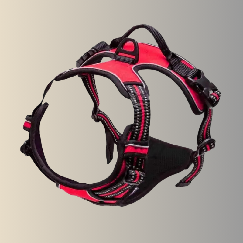 Leather Dog Harness & Leash Set