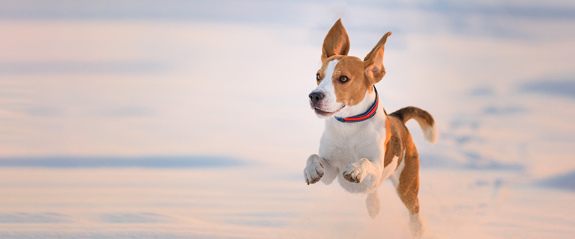 slider image slider_item_VxzxGh